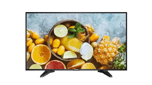 MONITOR 42.5" 1920 X 1080 VESA